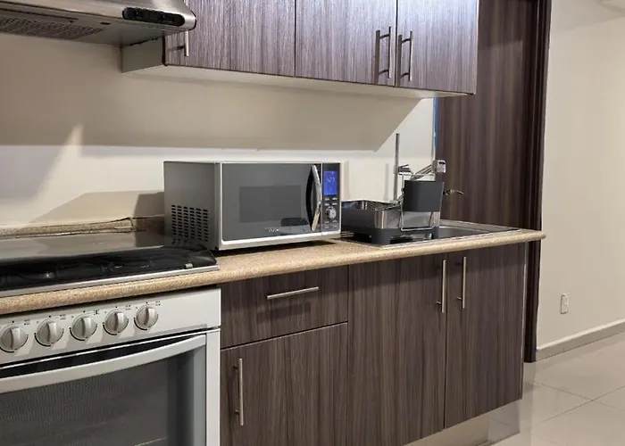 Depto Moderno 2 Rec Detalles Zen Cerca Reforma *